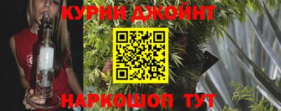 дживик Кингисепп