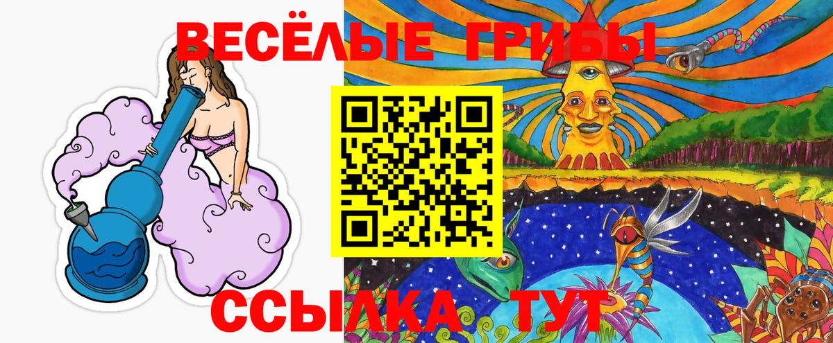 Чебоксары  Галлюциногенные грибы ЛСД  Вход с VPN 